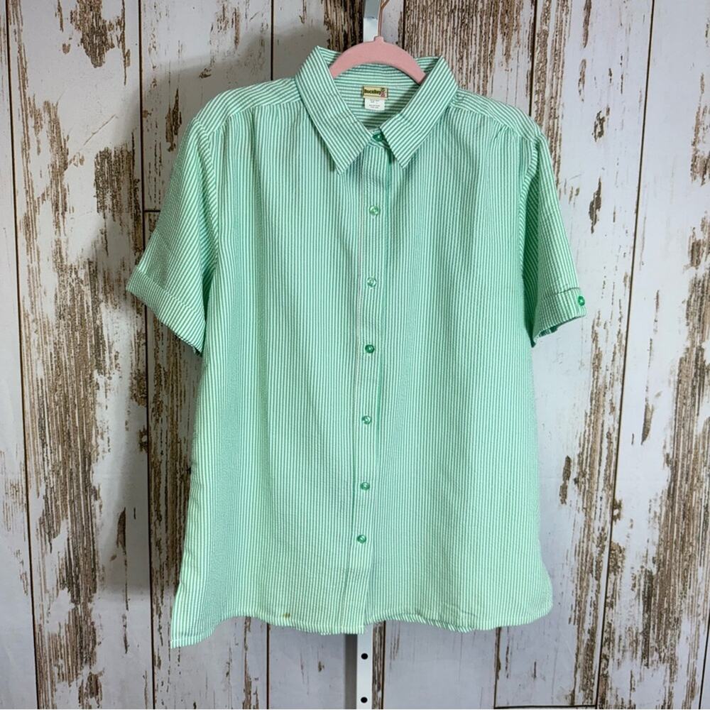Boca Bay, Mint Green Striped Short Sleeve Blouse. Size Large. Excellent cond!